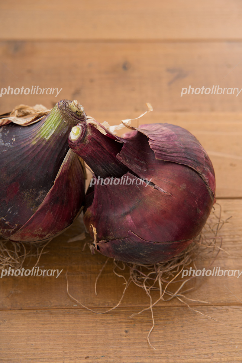 まだ知らない紫玉ねぎの世界 普通の玉ねぎとの違いと食べ方を徹底解説！産直プライムブログJA連携！産地直送通販なら産直プライム