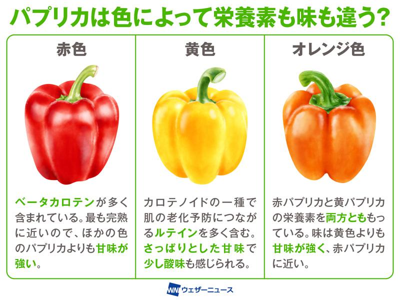 食育特集 必要な栄養素を知って自分の食事をふり返ろう