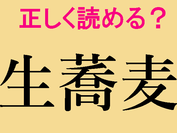 お歳暮・年越しそば ギフト 送料無料 信州・安曇野 手打生そば2〜3人前＋つゆ・薬味付 : 榑木野Yahoo!店 - 通販 - Yahoo!ショッピング