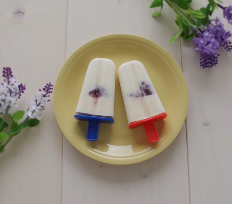 ふるさと納税 「すずらん牛乳」フローズンアイスセット 2種×8本飲料 ブルーベリー味 アイスクリーム 3種類のアソートA 8個セット生ソフトクリームアイス ブルーベリーアイス 紅ほっぺいちごアイス長野県根羽村ふるさと納税サイト「さとふる」