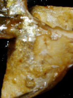 圧力鍋で簡単☆カンパチ大根-九州の郷土料理と簡単まかないレシピ