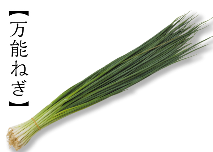 ねぎとよく似た「わけぎ」とは？見分け方や使い方を伝授！ - macaroni