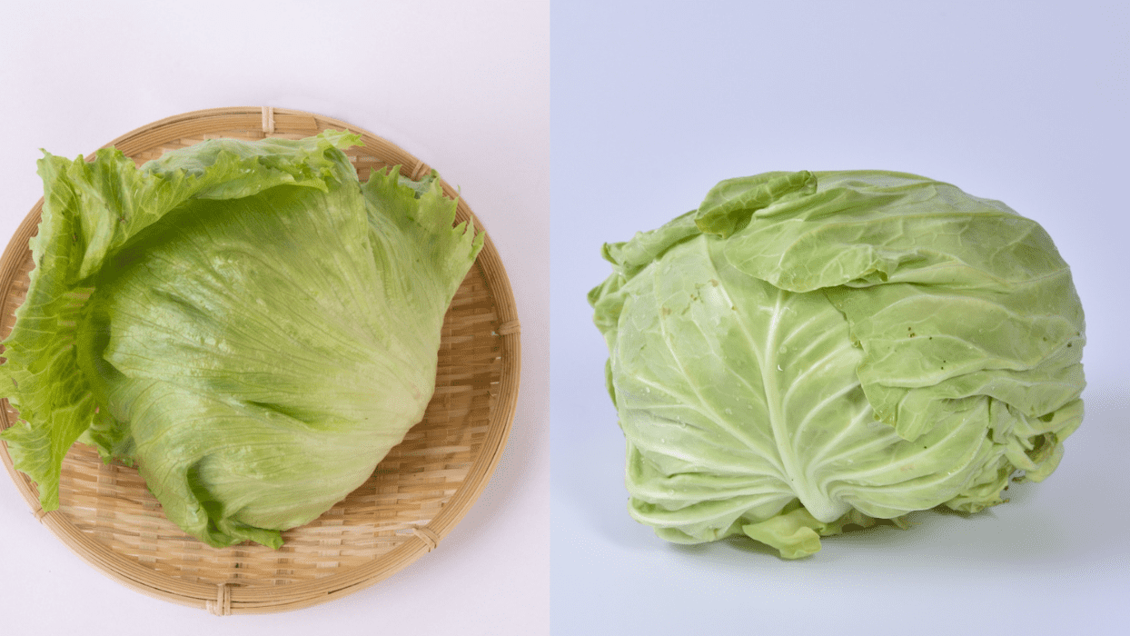 レタスときゅうりとキャベツのサラダ