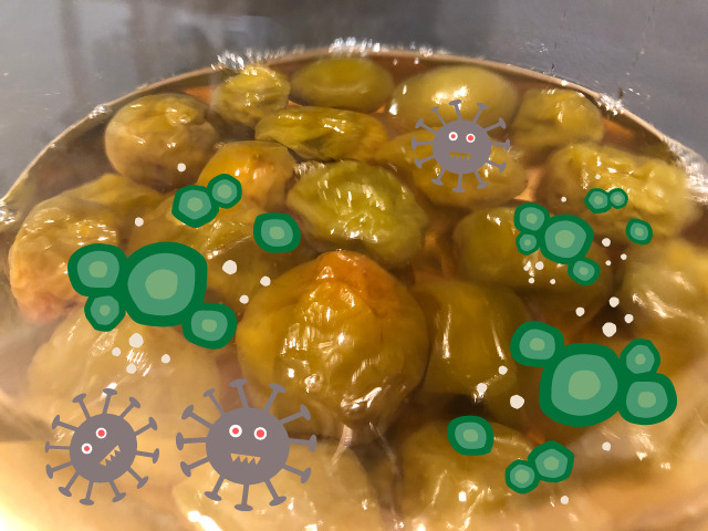 梅干しにカビが生えてしまう原因を解説 カビの見分け方・対策・対処法も紹介梅干しの通販 和歌山の南高梅専門店熊平の梅