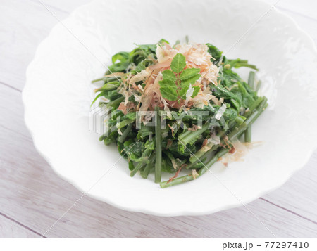 白木の芽 コシアブラ の写真素材29269105- PIXTA