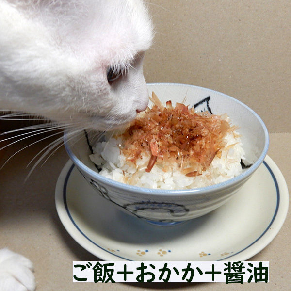 かつお節屋のねこまんま