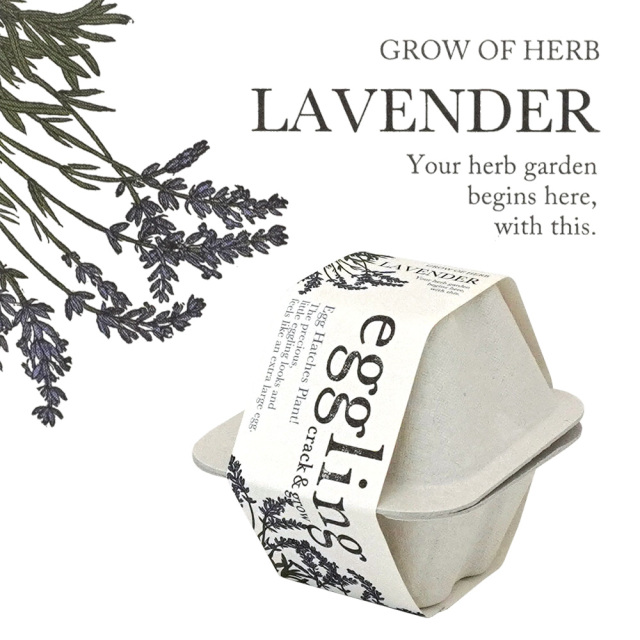 プランターでミニニンジン栽培☆そだレポ 栽培レポート byりりんごみんなの趣味の園芸