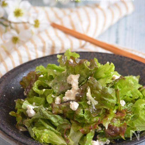 疲れた体にぴったりの簡単レシピ「アボカドとカッテージチーズのサラダ」美的.com