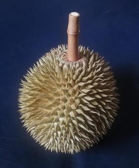 臭い果物の写真素材 - PIXTA