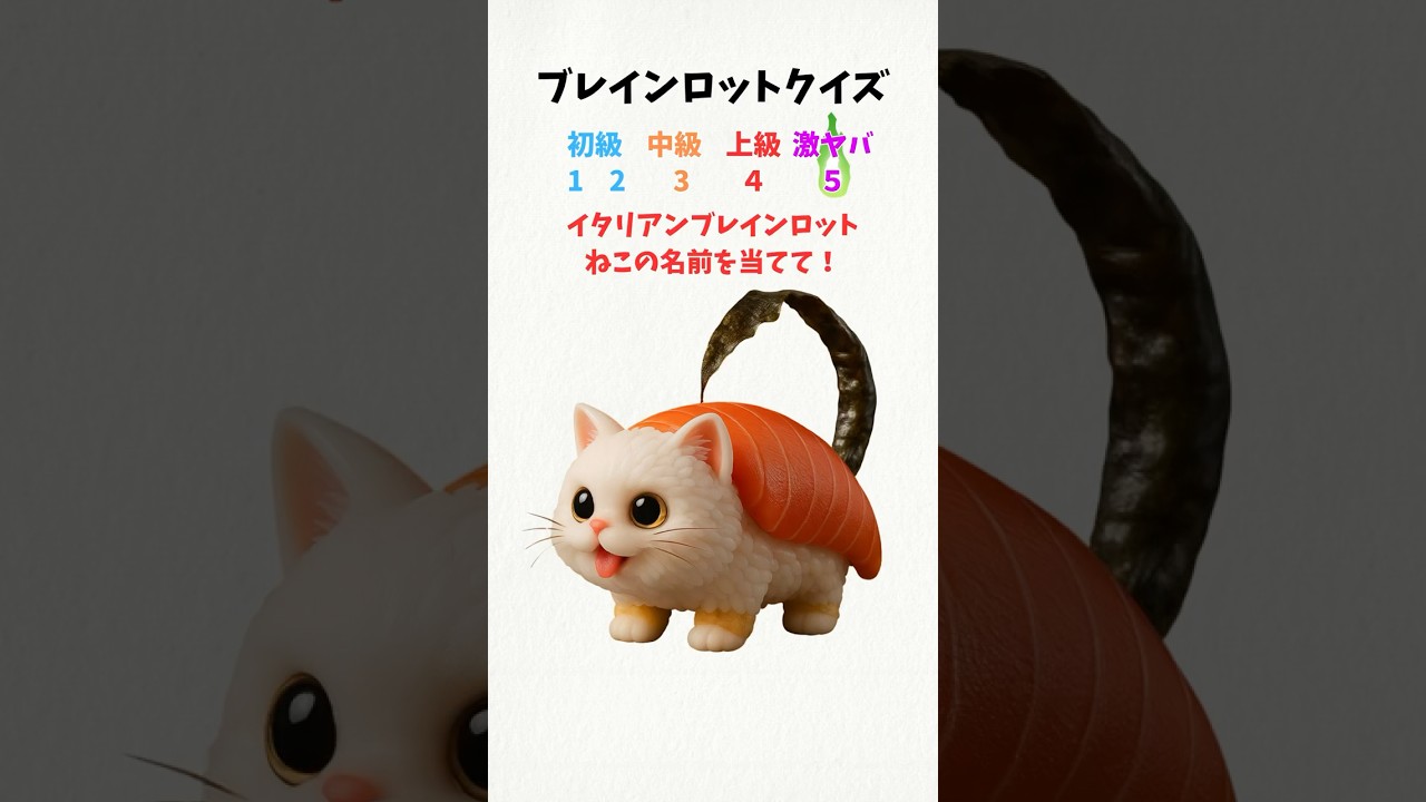 KIMAGURE ITALI庵 黒猫ランチ 猫。時々イタリアン。たまに和食 全16品ランチ プラン 11786637 ・メニュ