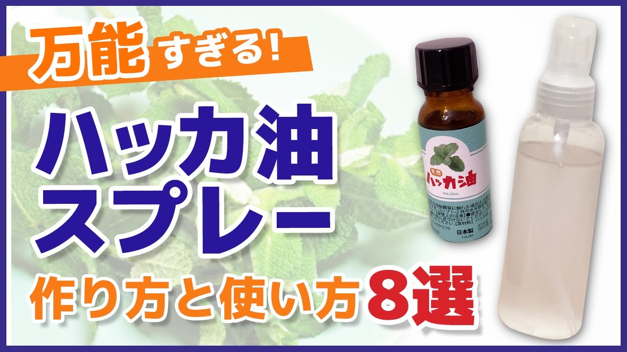 天然ハーブの虫除けスプレー作り方！農家お墨付きハッカスプレーに今年はユーカリをプラス！│ママはずぼらファミリーキャンプを応援するブログ