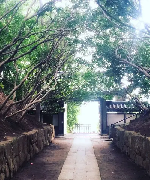 ももち海浜公園でのグルメ体験