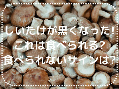 しいたけは、腐るとどうなる？見た目や臭いで簡単チェック！くらなる