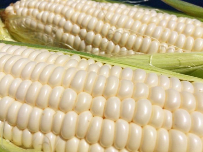 白いとうもろこしは甘い？黄色いとうもろこしとの違いや主な品種を紹介PREZO プレゾ- 北海道のお取り寄せグルメと産直通販