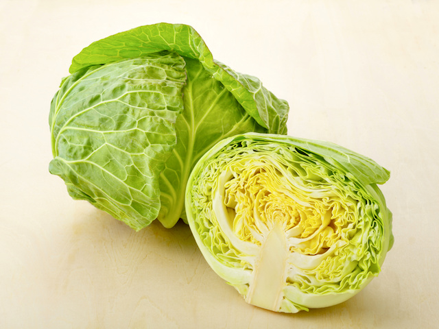 黄色い花はナノハナ？ キャベツの花が畑一面に 田原愛知県 ：朝日新聞