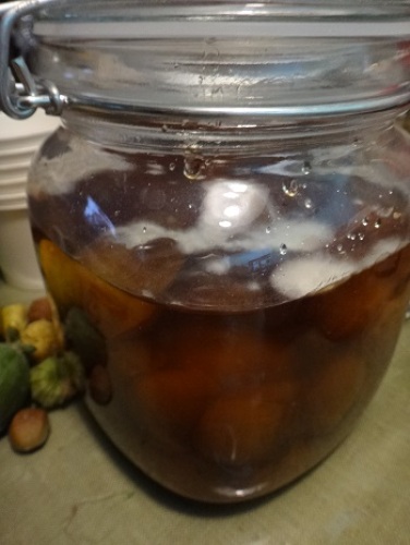 梅干しに白いかたまり!もしかしてカビ?白いカビの見分けと処理方法