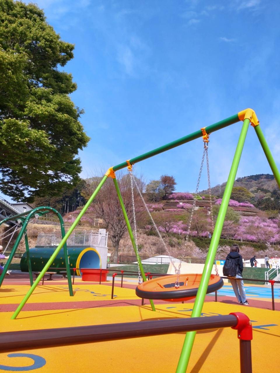 神奈川県愛川町で楽しむ南米グルメランチ