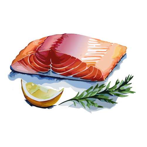 カットした、サーモンの刺身用ブロックの無料イラスト透過PNG・商用利用OKイラストセンタ