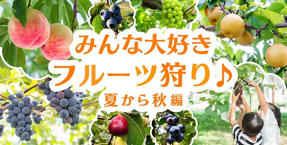 夏の山梨観光 おすすめスポット・旅プラン！絶景＆フルーツ狩りを超満喫！ – MediaSpace