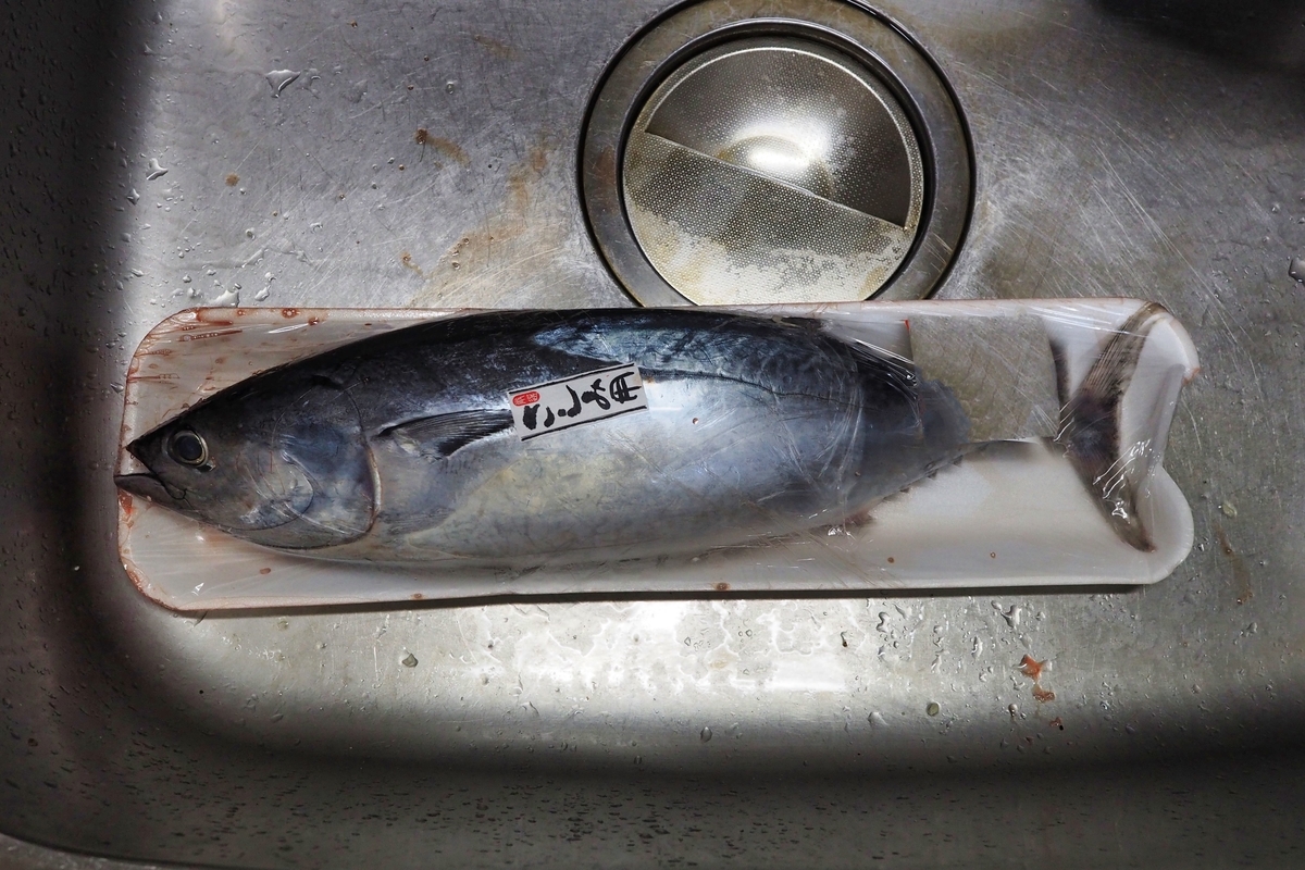 スマガツオの基本知識 レシピ・旬な時期・釣り方・さばき方を解説！釣りラボマガジン