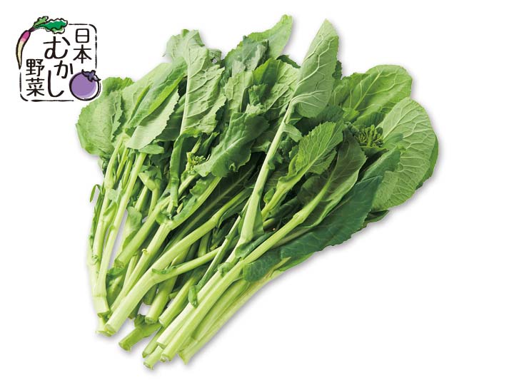 菜っ葉類の蒔き時です!│土と親しむ ~家庭菜園・農業応援歌~