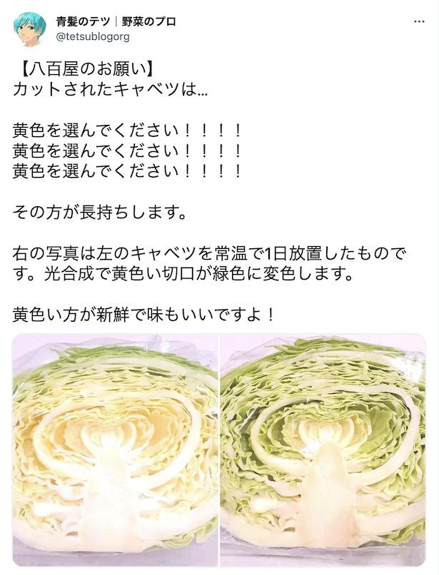 超難問！野菜クイズ 「アナタならどっちのキャベツを選ぶ？」注目すべきは 真ん中の辺り!? 青髪のテツ『あたらしい日日』こんな時代のニューノーマルな暮らし方。食と農、生活情報をお届けします