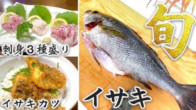 イサキの煮付け