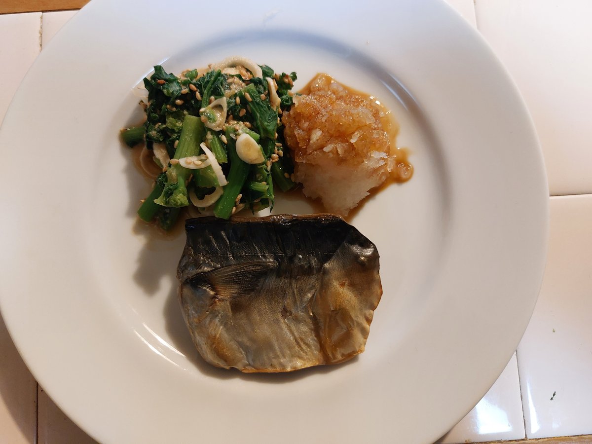 アラジンのトースターに魚の臭いがつかないか心配!! 臭い取りの方法も紹介おいしい家電