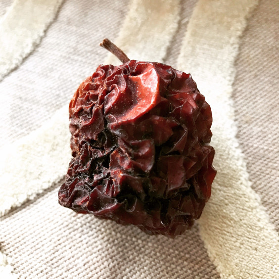 腐ったリンゴ - Wikipedia