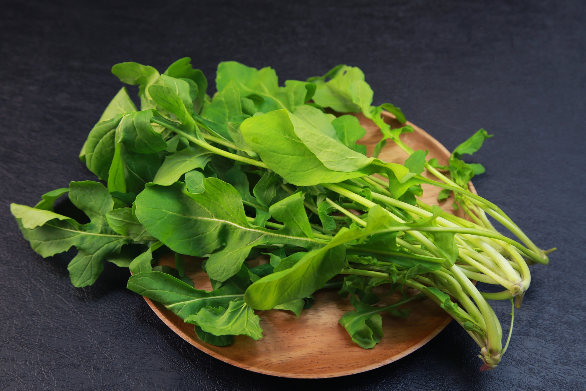 ルッコラの育て方プランター栽培・水耕栽培の方法を解説しますとなりのカインズさん