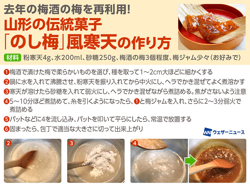 初挑戦！梅の甘露煮の作り方TikTok