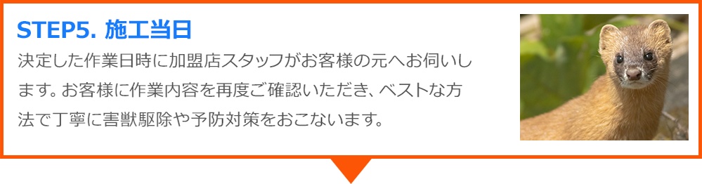 佐伯市のイタチ、ハクビシン、アライグマは害獣駆除naviへ│おすすめ業者を安心料金で