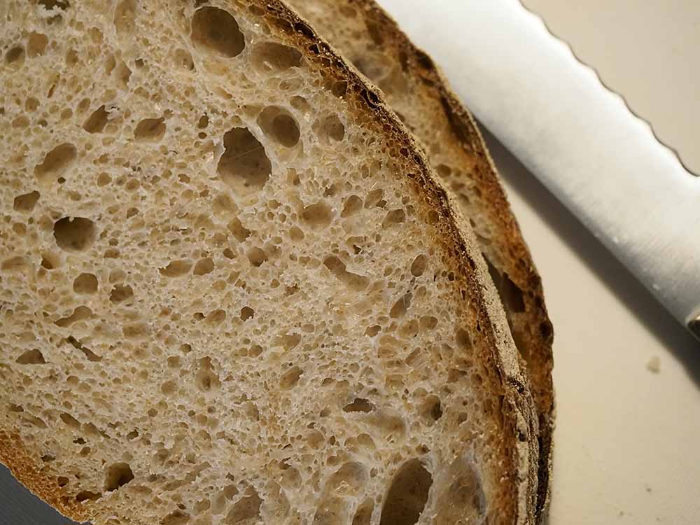 食パンのカビは危険！部分だけ取って焼いても食べてはいけない理由と対処法を紹介お菓子・パン材料・ラッピングの通販 cotta＊コッタ