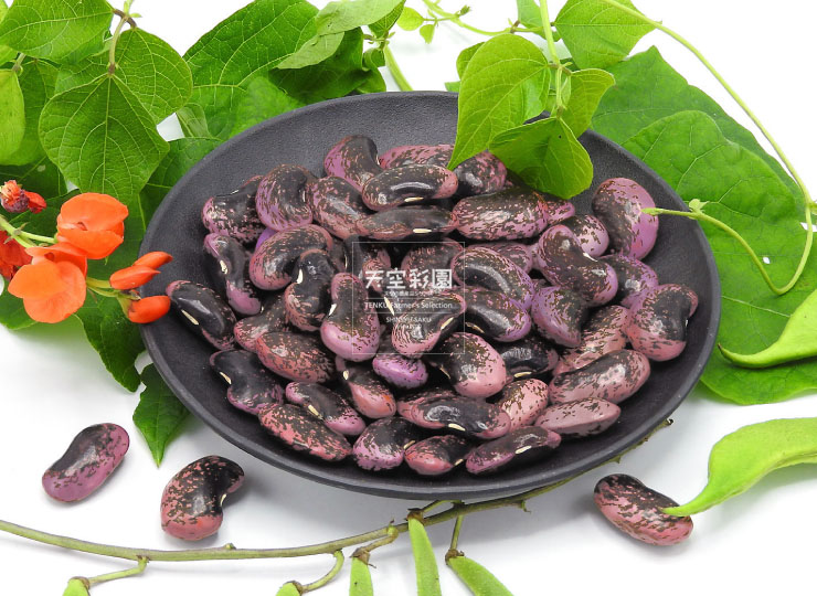 インゲン築地・青果仲卸 野菜仲卸 の老舗「株式会社築地くしや」