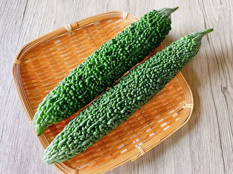 Cucumberえいごえほんの森