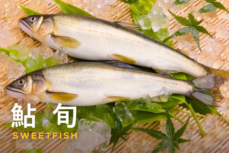 鮎の下処理は不要？知れば納得の理由と美味しい焼き方も解説 - サカシュン SAKASHUN