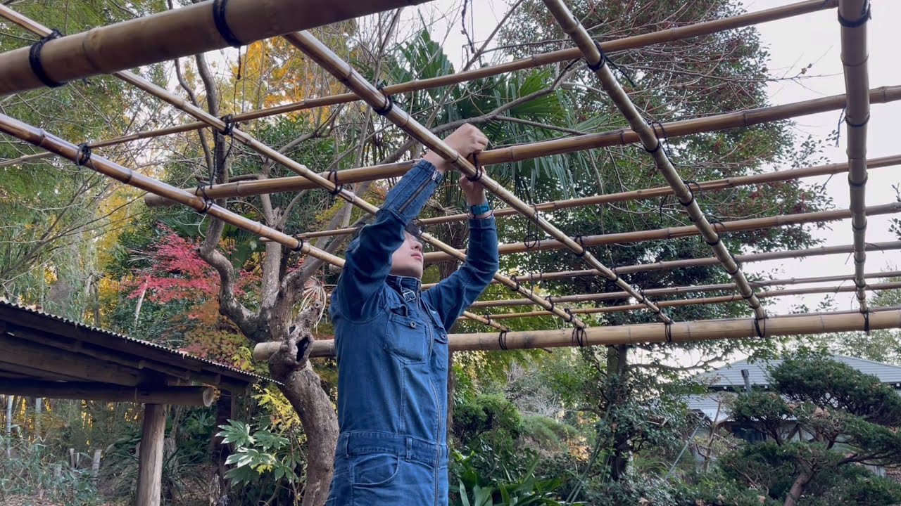 鑑賞*摘みたくなる道端の葡萄棚岡田耕