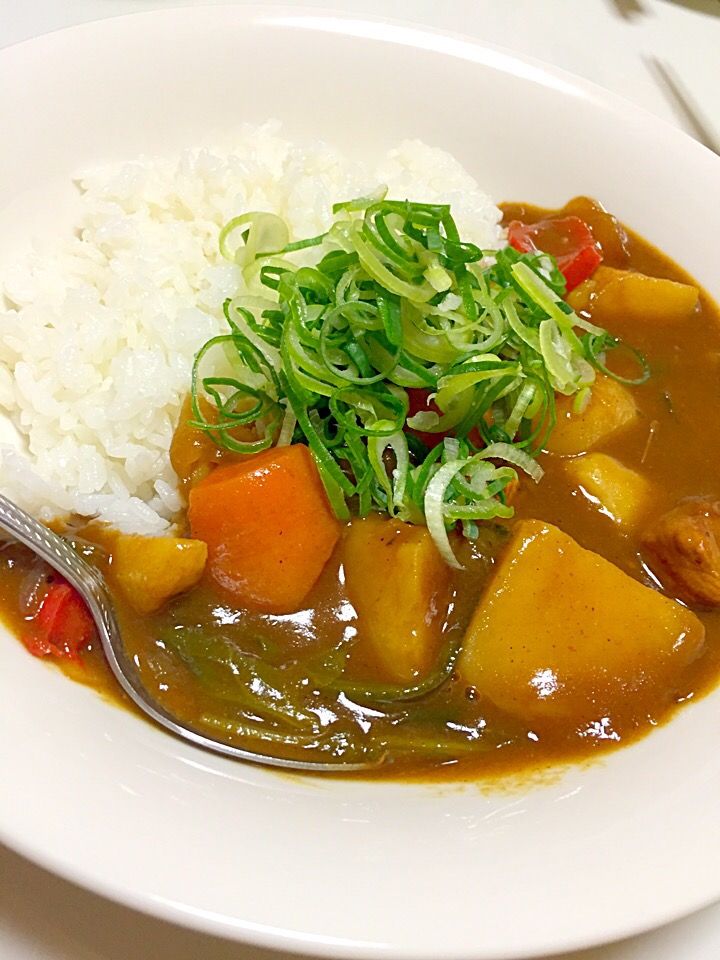 ジャワカレーの辛口 子供の日だから カレー inoSnapdish スナップディッシュ