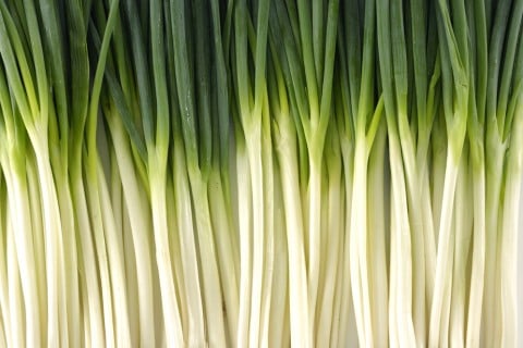 無添加バーベキューソースレシピNo.14「ハマチのカルパッチョ」エマーブル尼崎・武庫之荘のオーガニックフレンチレストラン