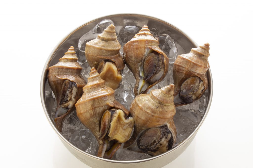 Entry Details for 粒貝tsubugai- Tanoshii Japanese