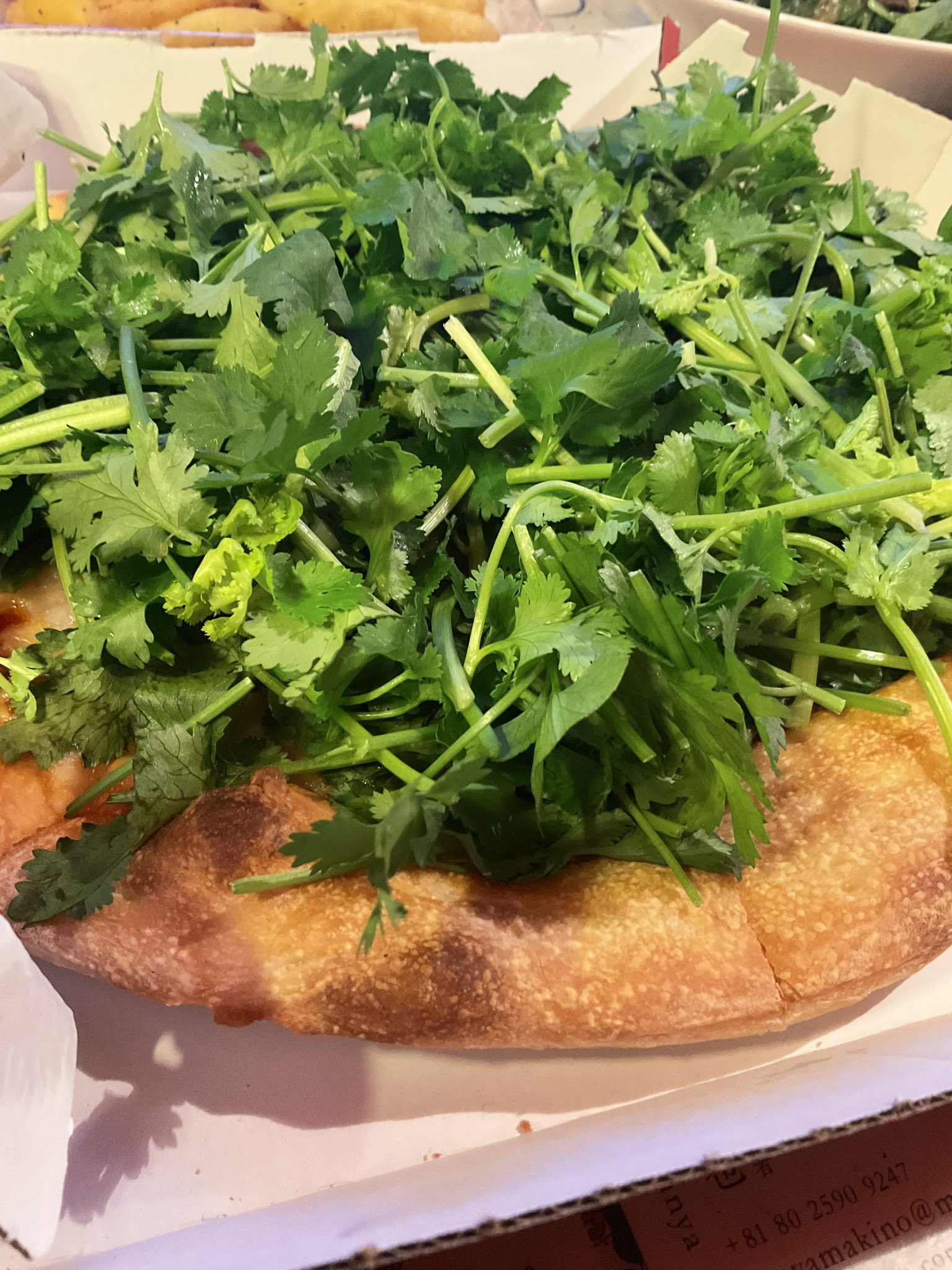 パクチーすぎて草 超えて森ピザハット