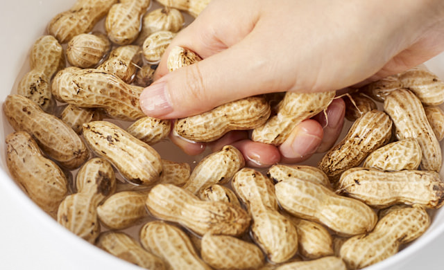 フラクタルな花野菜 はな・やさい : 徳之島 自然日誌
