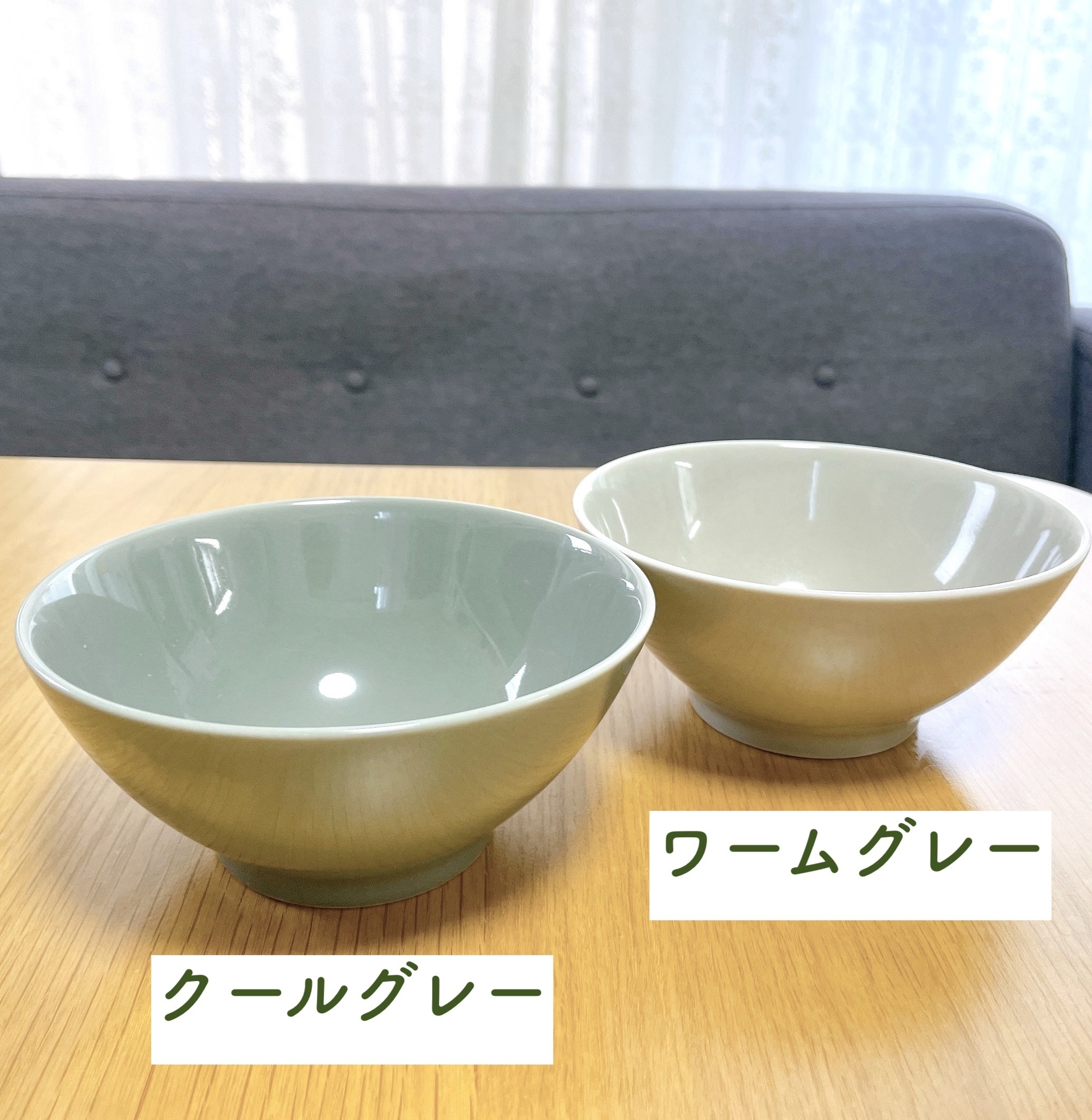 食器洗い乾燥機 洗剤洗浄タイプ：スライドオープン 深型RSW-D401LPEA - リンナイ