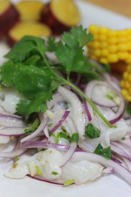 Gatto e Topo: 海老とタコのカクテル、タコのセビーチェ、アボカドのスープ、豚肉のアドボ