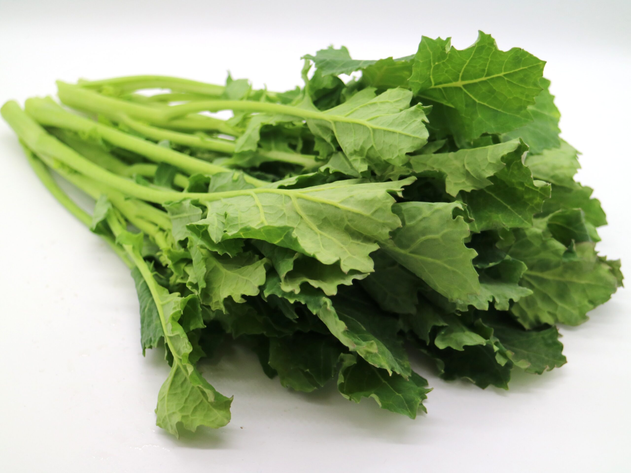 葉菜類とは?特徴と種類一覧野菜のおうち。常温と冷凍保存方法解説