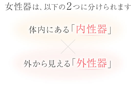 女性のあそこの形、ビラビラ大きさの違い？【医師監修】 - 夜の保健室