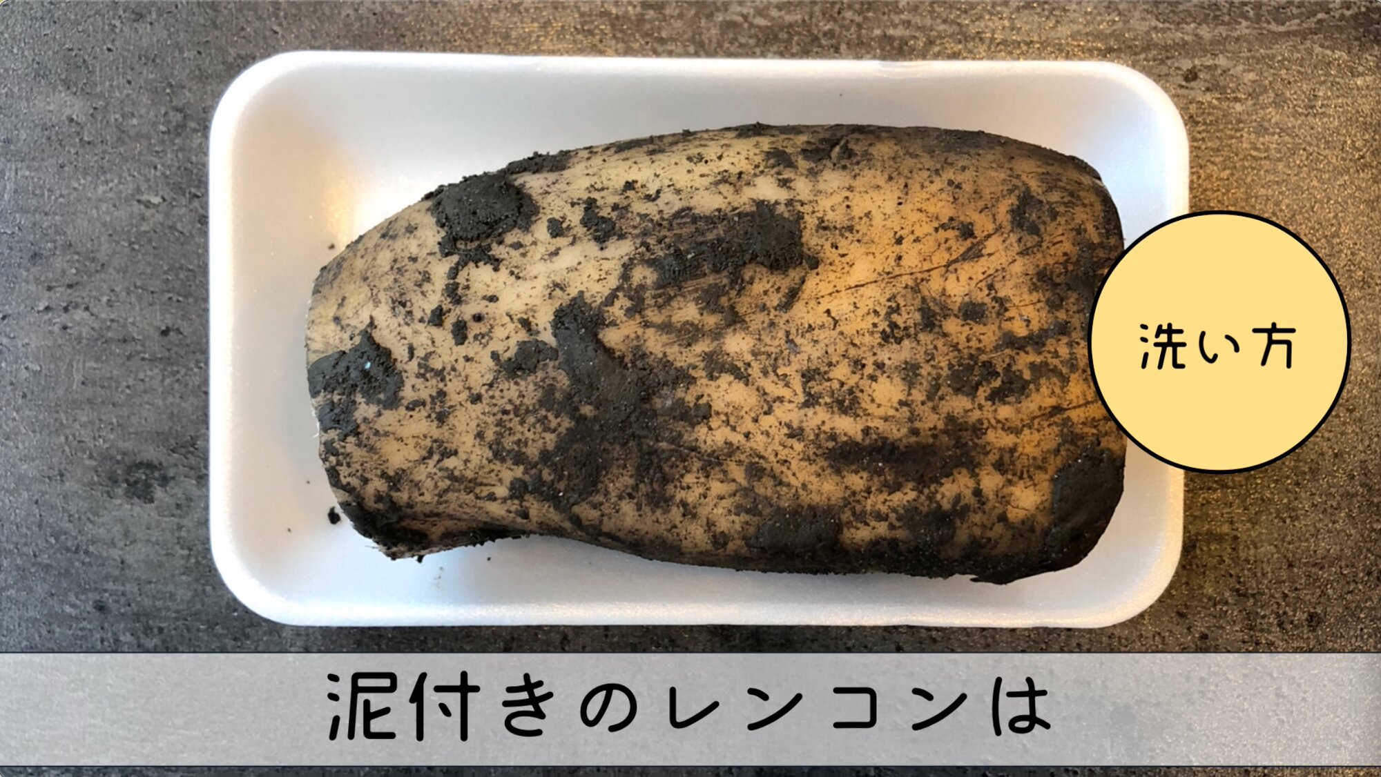 コストコの国産泥つきレンコンがおすすめ！冷凍保存方法も解説