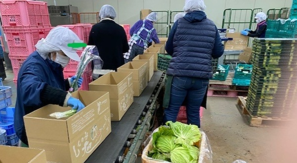 個人向け宅配サービス「ベジクルフレッシュ」始めました。業務用野菜のベジクル