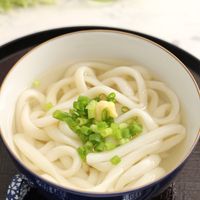 楽天市場 送料無料 讃岐うどん専用つけかけ兼用つゆ 5袋セット20ml×5袋送料無料 つゆのみ 簡単調理 鎌田醤油 人気 麺 讃岐 うどん本場 純生 香川県 生麺 めんつゆ こだわり ポイント利用 生うどん しょうゆうどん メール便 うどん スープ : どんまい