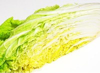 菜っ葉類の蒔き時です!│土と親しむ ~家庭菜園・農業応援歌~